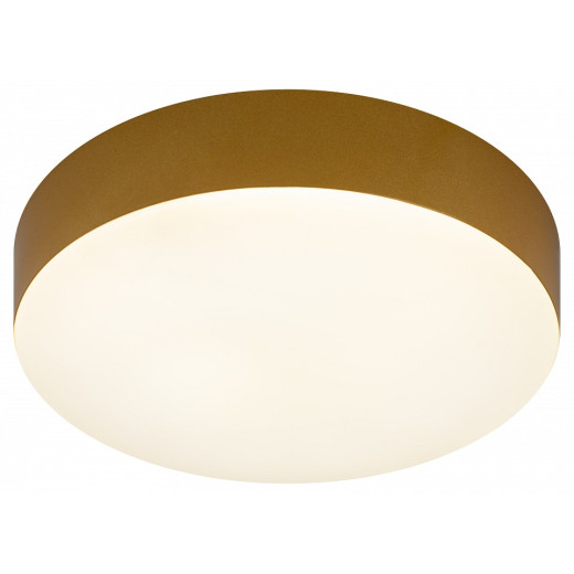 Накладной светильник Эра Relict Relict 22 SPB-6-20 4К MG