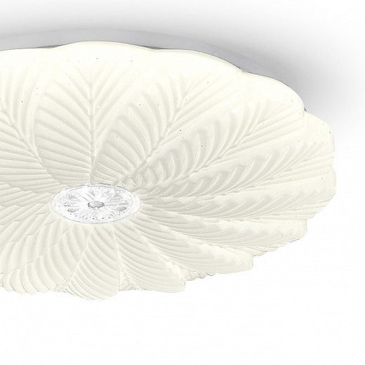 Накладной светильник Escada POLLY 473/PL LED