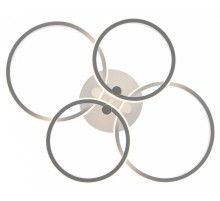 Накладной светильник Freya  FR10018CL-L40W