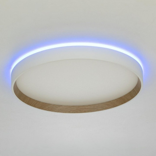 Накладной светильник Citilux ETALON CL750320R