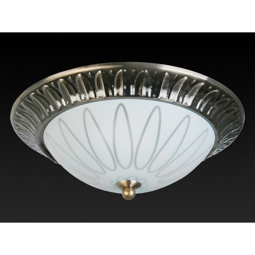 Накладной светильник TopLight Paulina TL5050Y-02AB