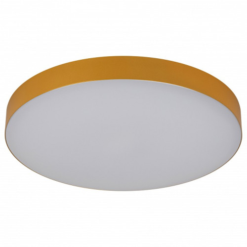 Накладной светильник Эра Relict Relict 38 SPB-6-40 4К MG