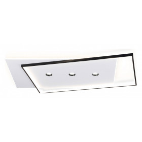 Накладной светильник Ambrella Light FL FL5066