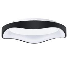 Накладной светильник Arte Lamp ANKAA A3085PL-56BK