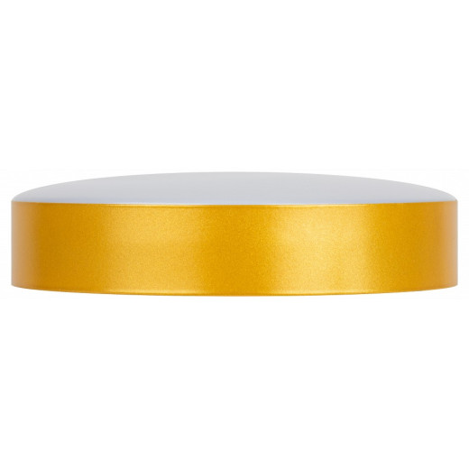 Накладной светильник Эра Relict Relict 22 SPB-6-20 4К MG