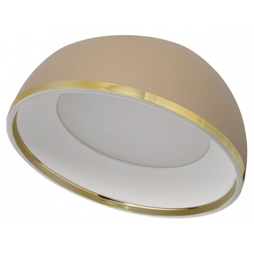 Накладной светильник Citilux FLOOM CL736152