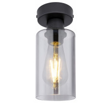 Накладной светильник Globo Hadera 15465D