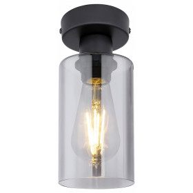 Накладной светильник Globo Hadera 15465D