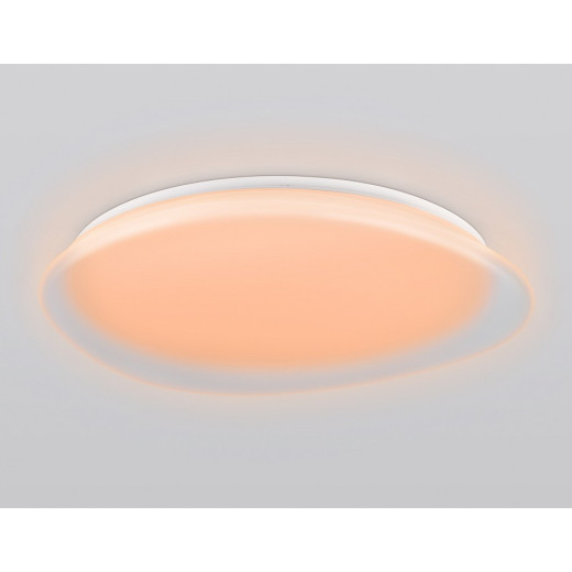 Накладной светильник Ambrella Light ORBITAL FZ1615