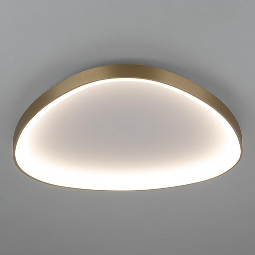 Накладной светильник Citilux GENKA SMART CL756A162