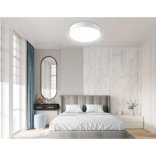 Накладной светильник Ambrella Light ORBITAL FZ1350