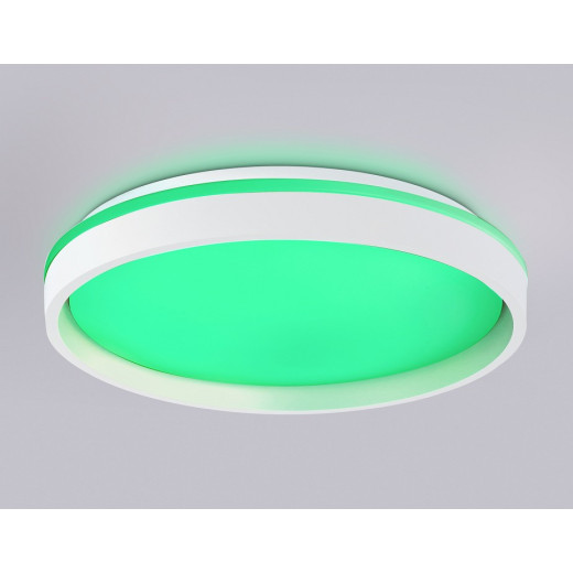 Накладной светильник Ambrella Light FZ FZ607