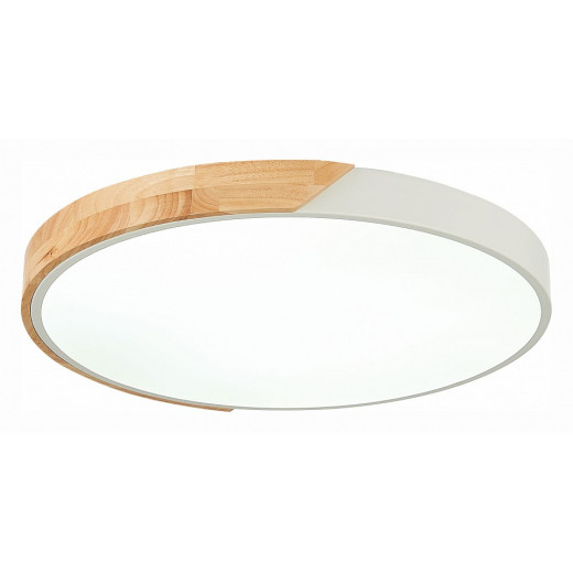 Накладной светильник EVOLUCE Festa SLE200952-01