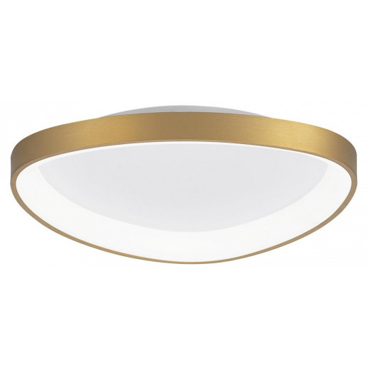 Накладной светильник Citilux GENKA SMART CL756A142