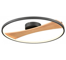 Накладной светильник Velante  450-067-01