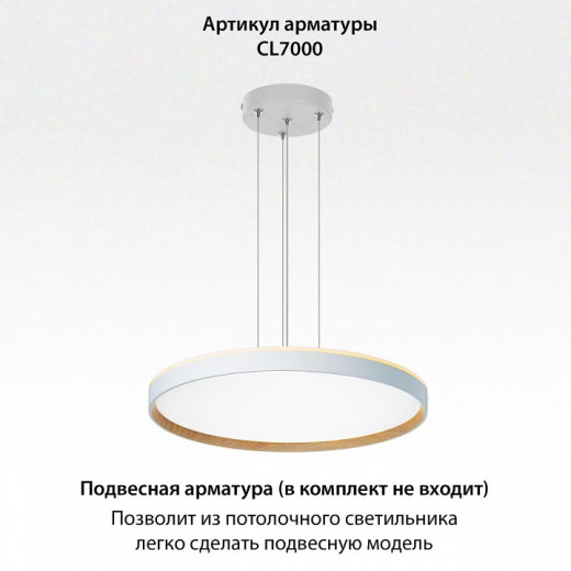 Накладной светильник Citilux ETALON CL750500R