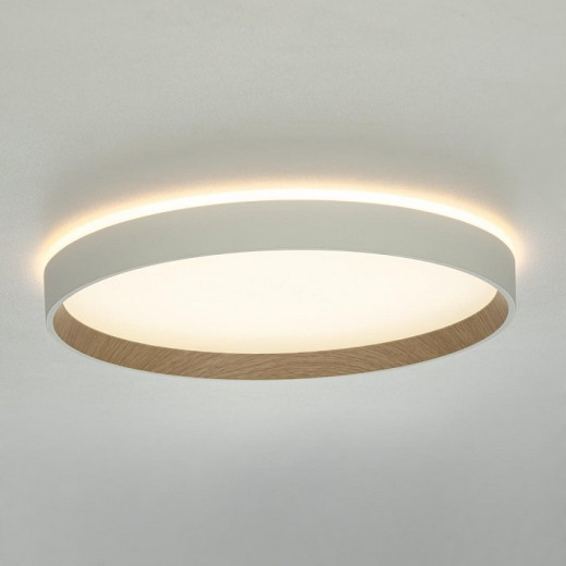 Накладной светильник Citilux ETALON CL750320R