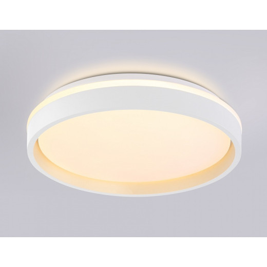 Накладной светильник Ambrella Light FZ FZ601