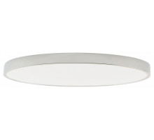 Накладной светильник Zortes Tortty ZRS.02565.120
