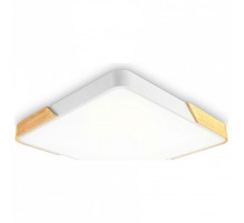 Накладной светильник Ambrella Light FZ FZ1312