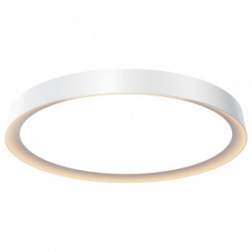 Накладной светильник Maytoni Incognito MOD426CL-L43WK