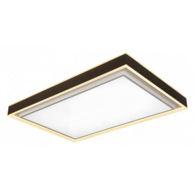 Накладной светильник iLedex Summery B6233-196W/930*630 WH