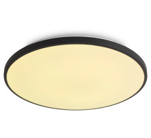Накладной светильник Freya Obelle FR6211CL-L24B