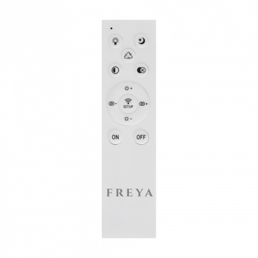 Накладной светильник Freya  FR10028CL-L80W