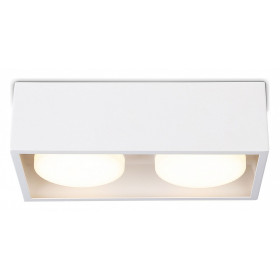 Накладной светильник Ambrella Light TN TN70828