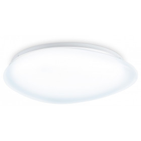 Накладной светильник Ambrella Light ORBITAL FZ1605