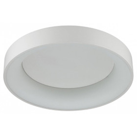 Накладной светильник Odeon Light Sole 4066/40CL