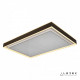 Накладной светильник iLedex Summery B6233-196W/930*630 WH