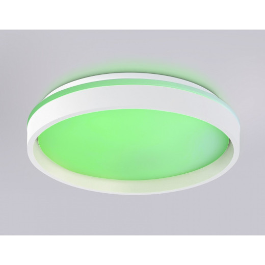 Накладной светильник Ambrella Light FZ FZ601