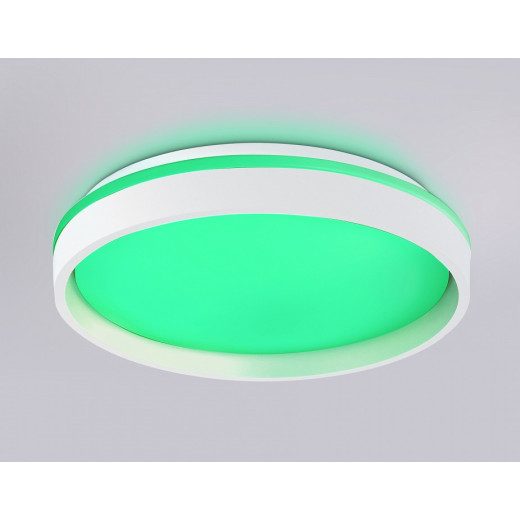 Накладной светильник Ambrella Light FZ FZ601