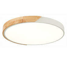 Накладной светильник EVOLUCE Festa SLE200952-01