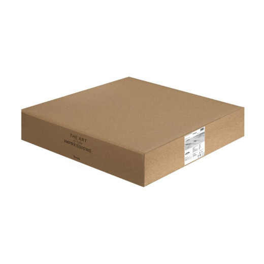 Накладной светильник Freya Pie FR6086CL-L117B