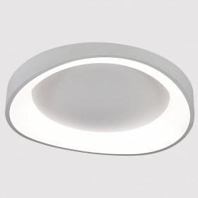 Накладной светильник Arte Lamp None A2698PL-60WH