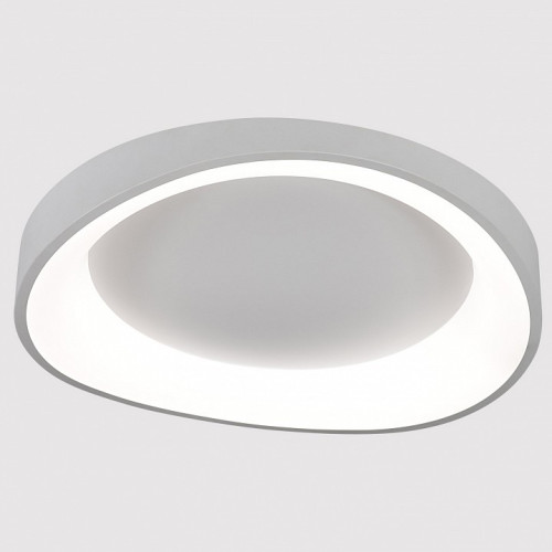 Накладной светильник Arte Lamp None A2698PL-60WH