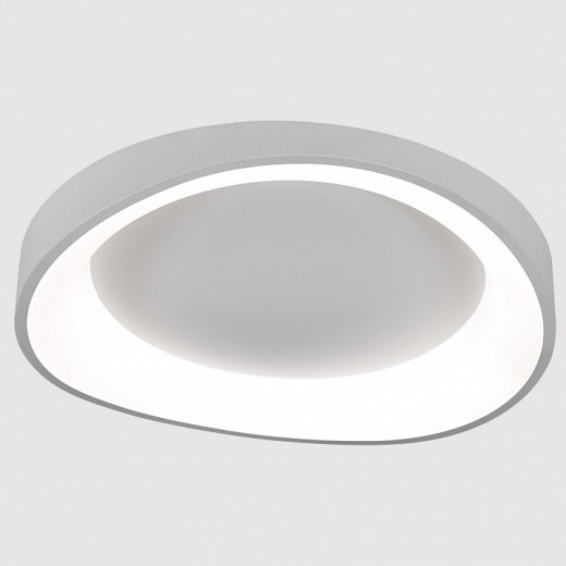 Накладной светильник Arte Lamp None A2698PL-60WH