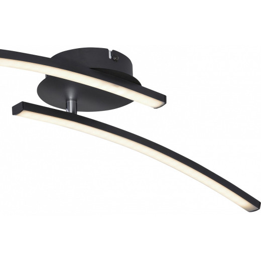 Накладной светильник Globo Tansy I 67129-12