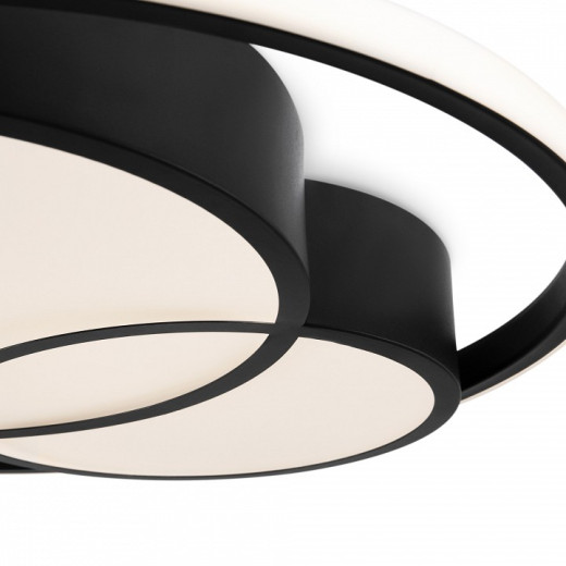 Накладной светильник Freya  FR10029CL-L70B