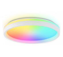 Накладной светильник Ambrella Light FZ FZ607