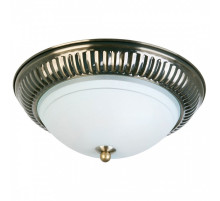 Накладной светильник TopLight Dora TL5040Y-02AB