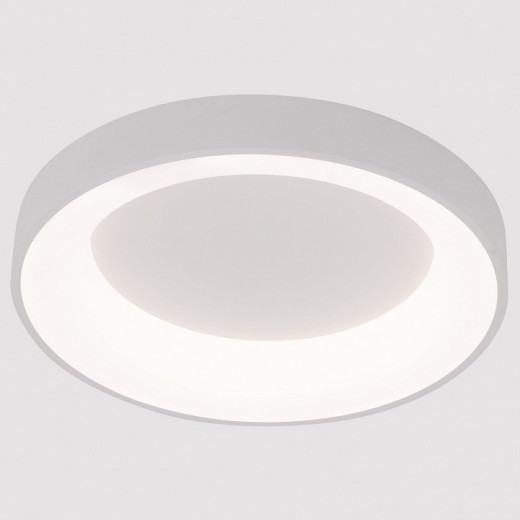 Накладной светильник Arte Lamp None A2695PL-50WH