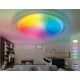 Накладной светильник Ambrella Light FF FF480