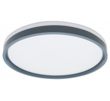 Накладной светильник Эра  SPB-6 Opal 86W-3K-6,5K-RC GR