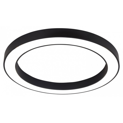 Накладной светильник Favourite Firm 4856-1P