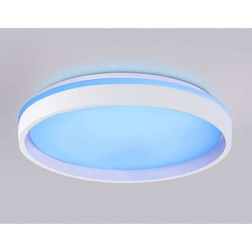 Накладной светильник Ambrella Light FZ FZ607