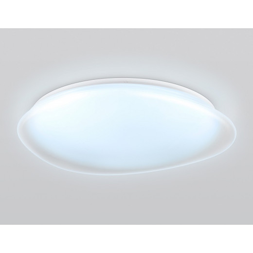 Накладной светильник Ambrella Light ORBITAL FZ1615