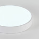 Накладной светильник Natali Kovaltseva  LED LAMPS 81112/5C